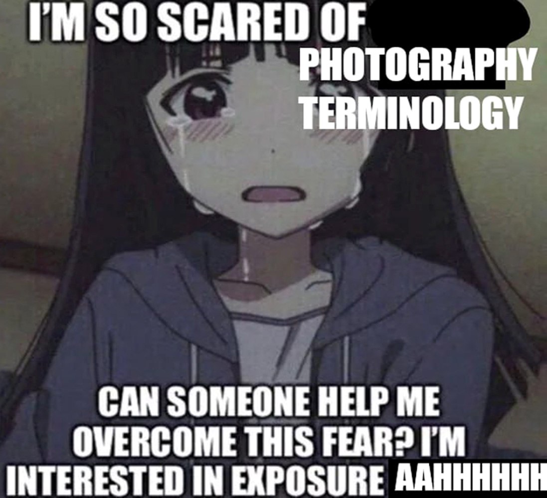 I'm so scared of photography terminology Мем с аниме-девочкой, которая боится фотографической терминологии и заинтересована в экспозиции