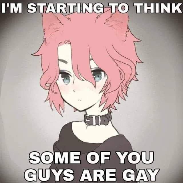 I'm starting to think some of you guys are gay Мем с аниме-котом парнем с розовыми волосами в чокере, говорящим «Я начинаю думать, что некоторые из вас геи»