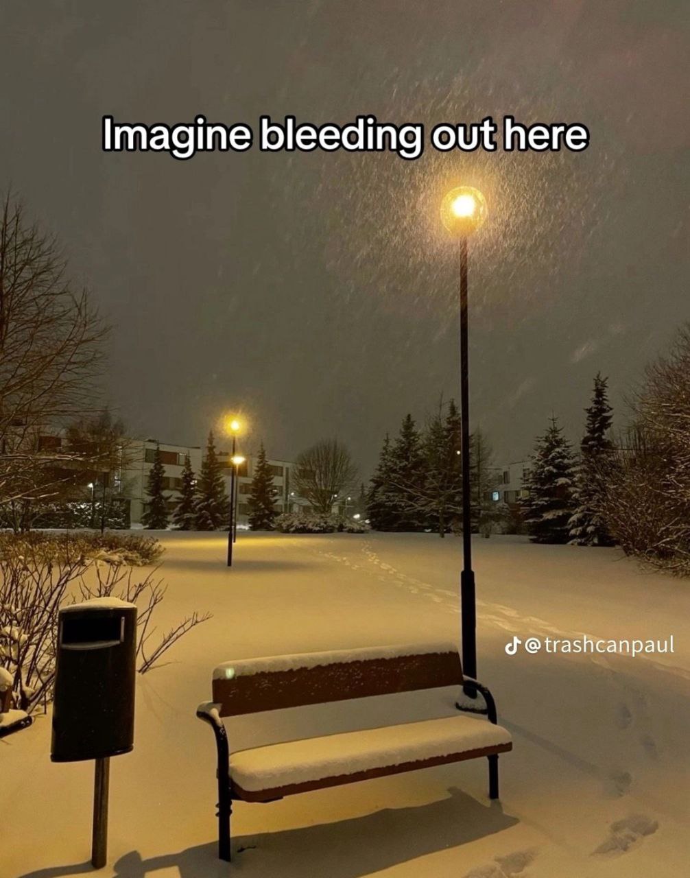 Imagine bleeding out here Мем с фразой «Imagine bleeding out here» на фоне заснеженного парка с горящими фонарями и пустой лавочкой.