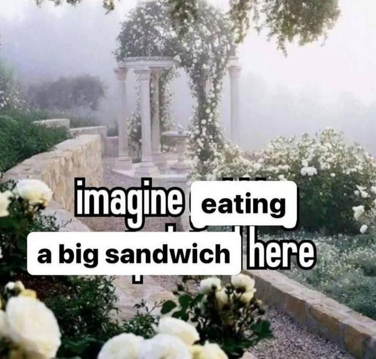 Imagine eating a big sandwich here Мем с надписью "Imagine eating a big sandwich here" на фоне красивого сада в тумане.