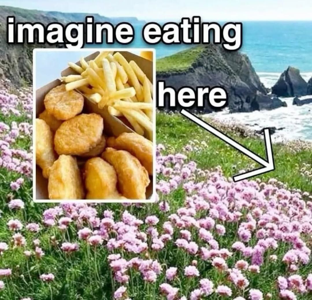 Imagine eating here Мем с фразой «Imagine eating here», изображающий картошку фри и наггетсы на фоне живописного морского пейзажа.
