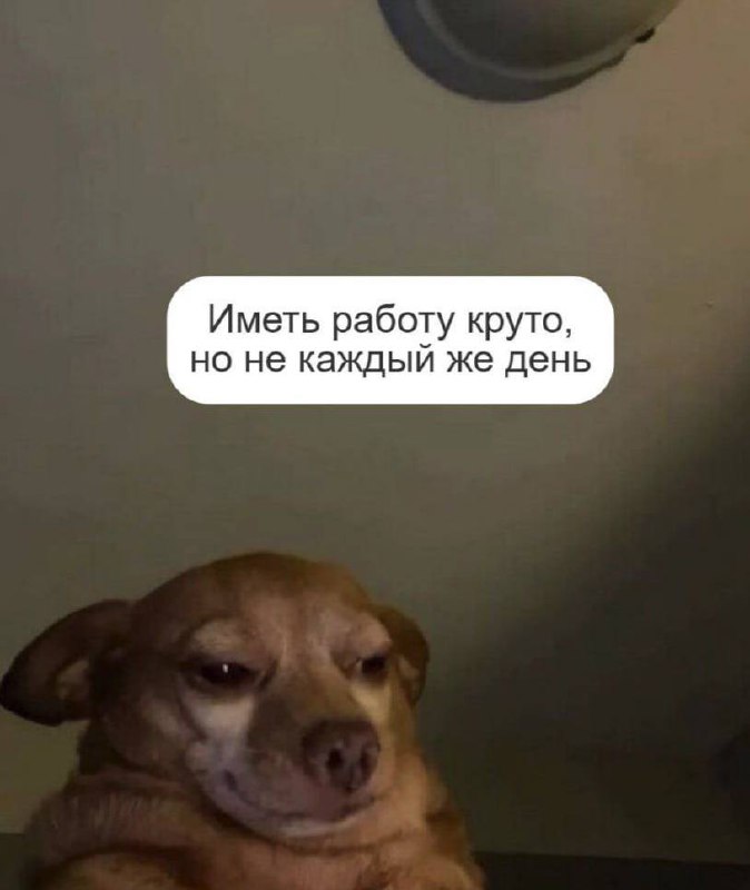 Иметь работу круто, но не каждый же день Пес с недовольным выражением морды, говорящий, что иметь работу круто, но не каждый день