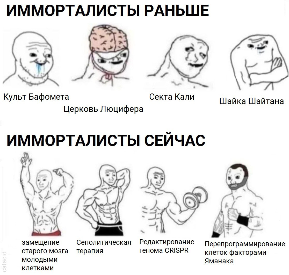 Имморталисты раньше и сейчас Мем "Имморталисты раньше и сейчас" с вуяками