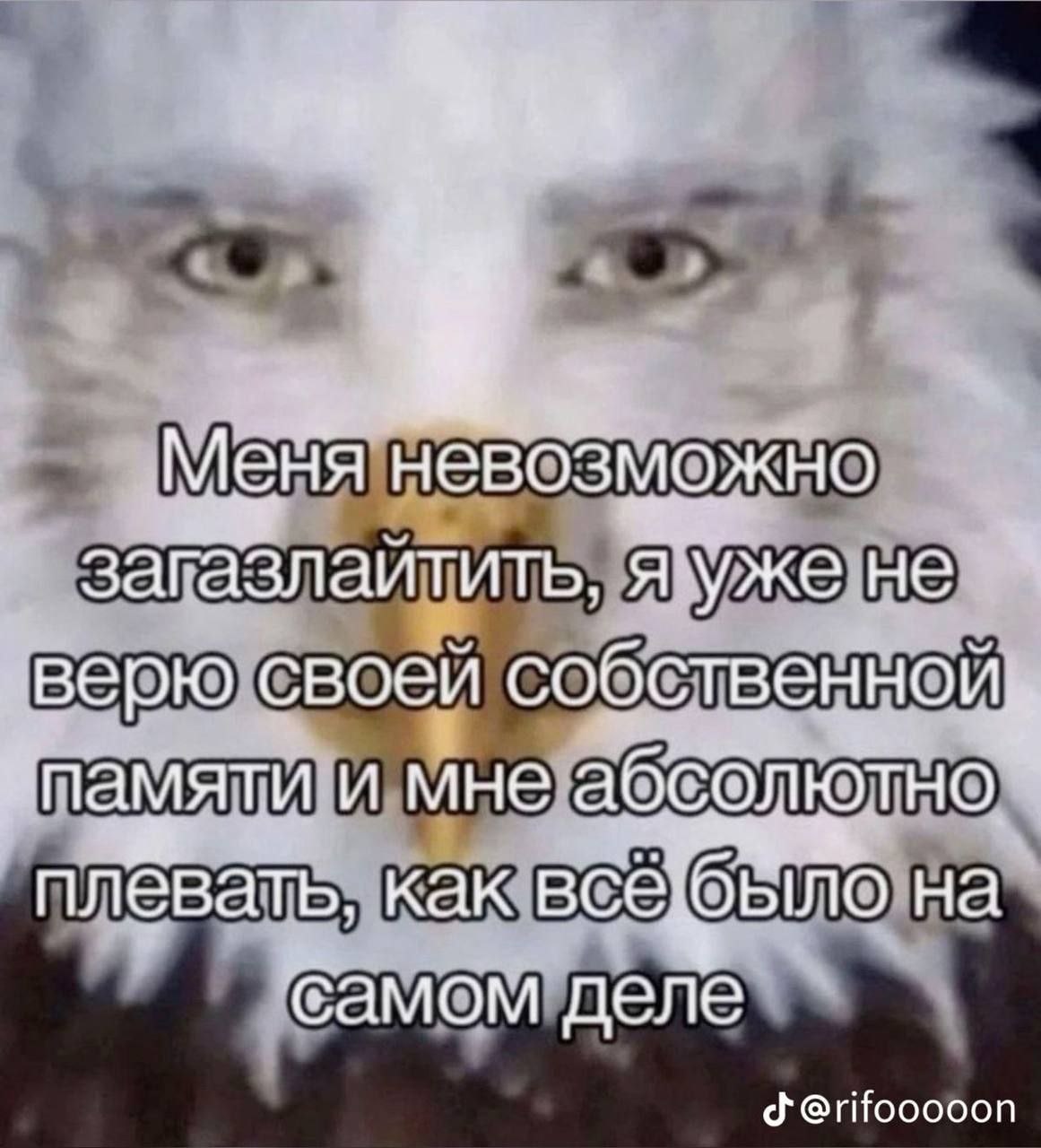Меня невозможно загазлайтить, орел Мем с орлом и надписью "Меня невозможно загазлайтить, я уже не верю своей собственной памяти и мне абсолютно плевать, как всё было на самом деле".