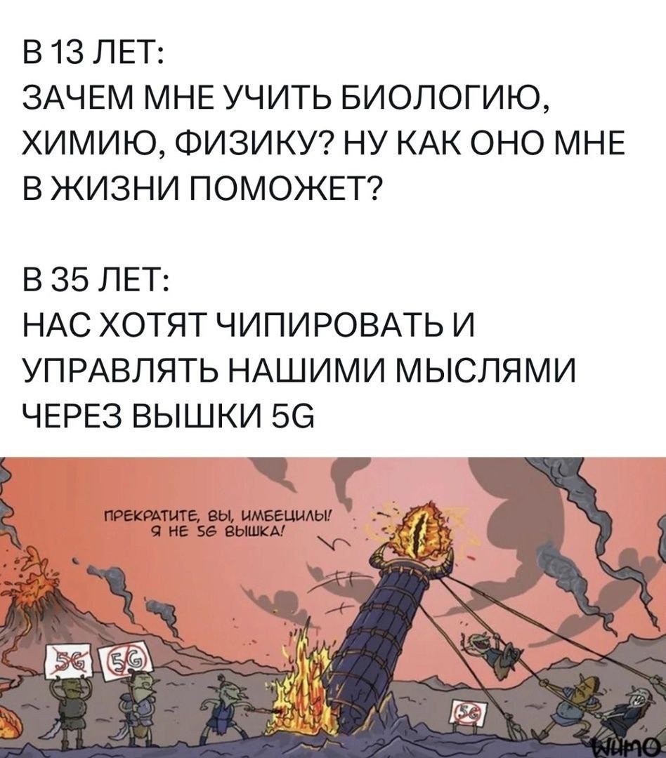 В 13 лет: Зачем мне учить биологию, химию, физику? Мем про эволюцию мышления от школьных лет до взрослой жизни, где невежество приводит к вере в теории заговора о вышках 5G