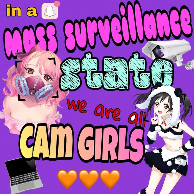 In a mass surveillance state we are all cam girls Мем «In a mass surveillance state, we are all cam girls» с аниме-девушками и камерой наблюдения.