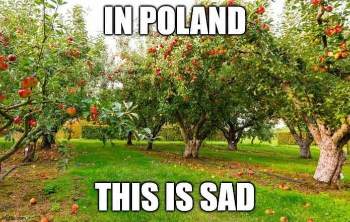 Яблоневый сад в Польше, полный спелых яблок, с ироничной подписью «In Poland This Is Sad».