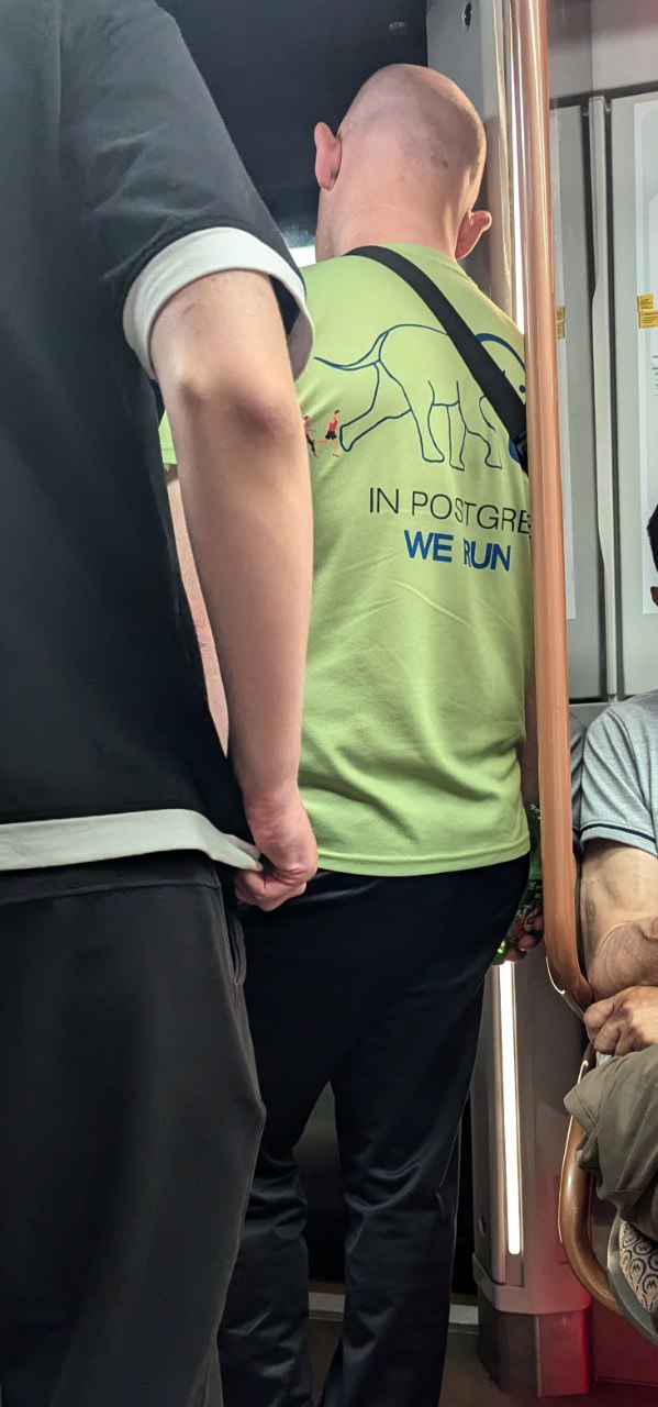 In postgre we run Лысый мужчина в зеленой футболке со слоном и надписью «In postgre we run» едет в общественном транспорте
