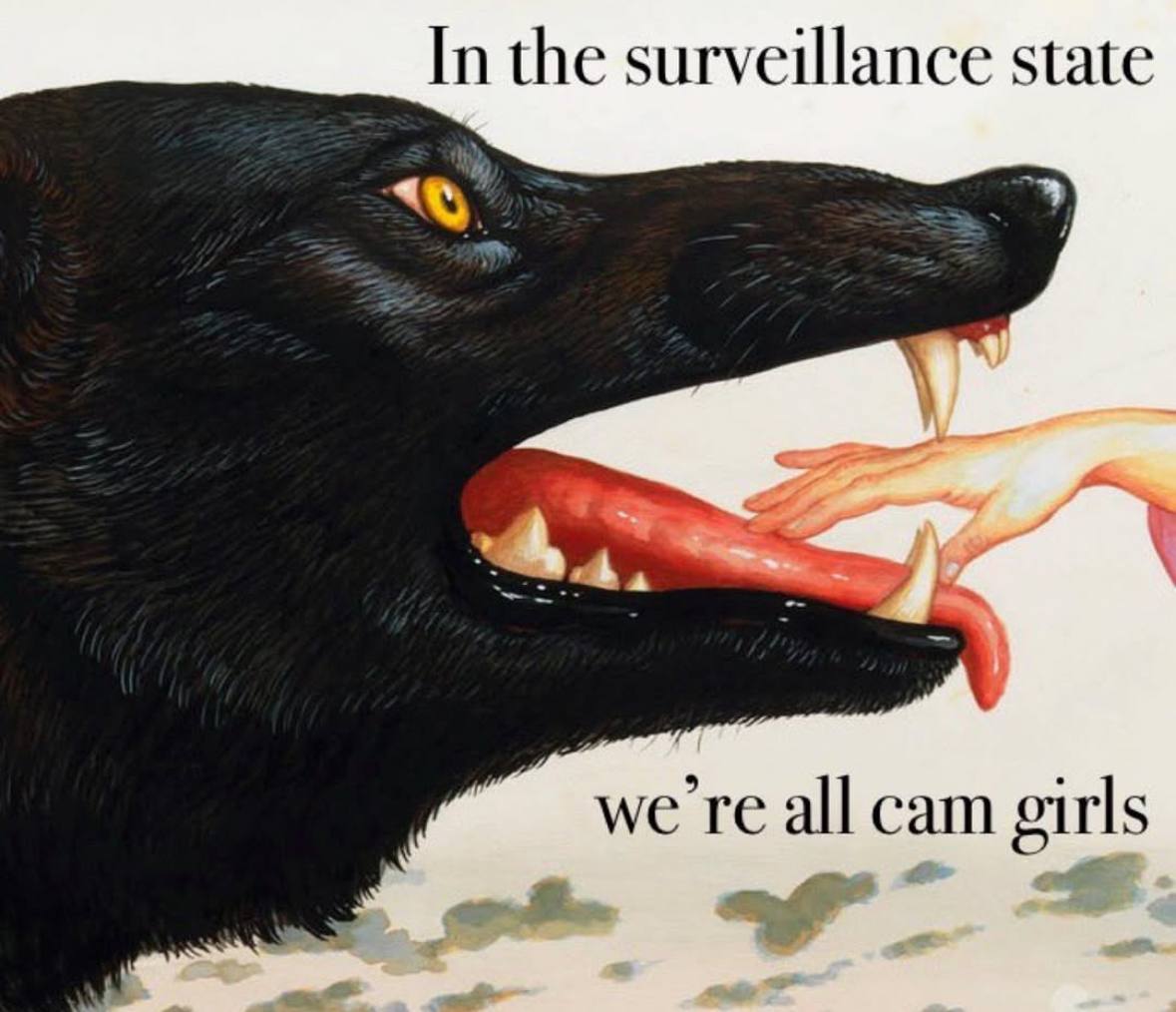 In the surveillance state we're all cam girls Мем с черным волком и рукой на языке слюнявом языке со словами «In the surveillance state we're all cam girls»