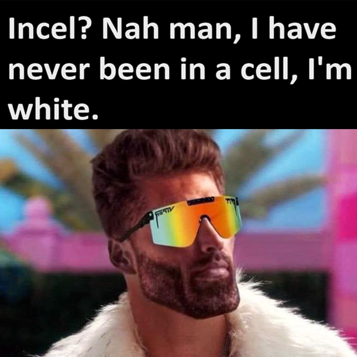 Incel? Nah man, I have never been in a cell, I'm white Мужчина с бородой в необычных очках и надписью "Incel? Nah man, I have never been in a cell, I'm white"