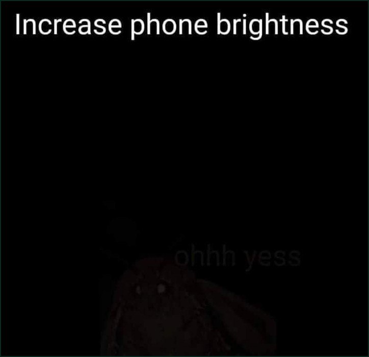 Тёмная картинка с надписью «Increase phone brightness», после увеличения яркости на экране появляется скрытая деталь и фраза «ohhh yess».