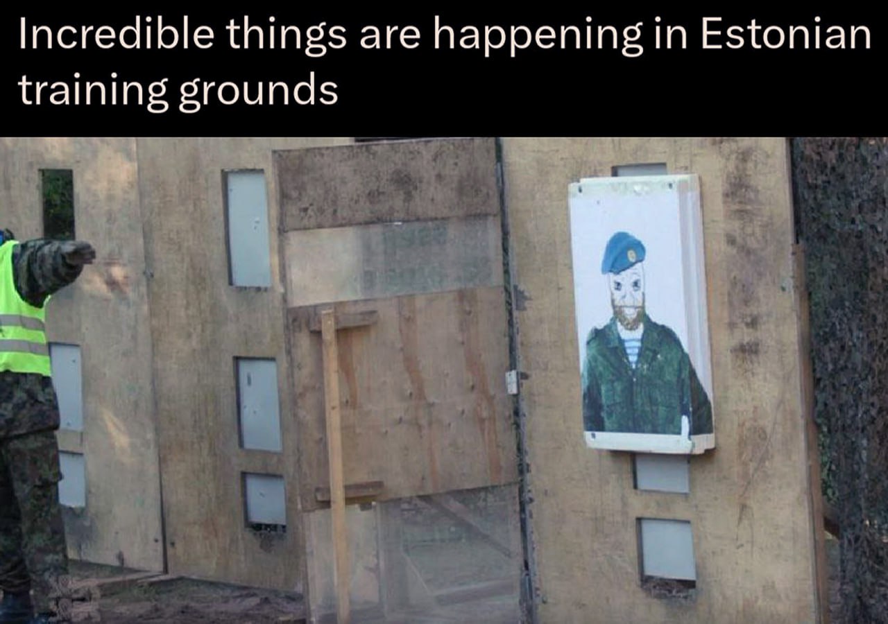 Incredible things are happening in Estonian training grounds Мем с надписью Incredible things are happening in Estonian training grounds и мишенью в виде бородатого человека в синем берете
