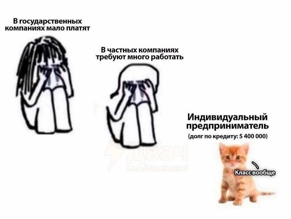Шутка о работе в государственных и частных компаниях и огромном долге индивидуального предпринимателя по кредиту.