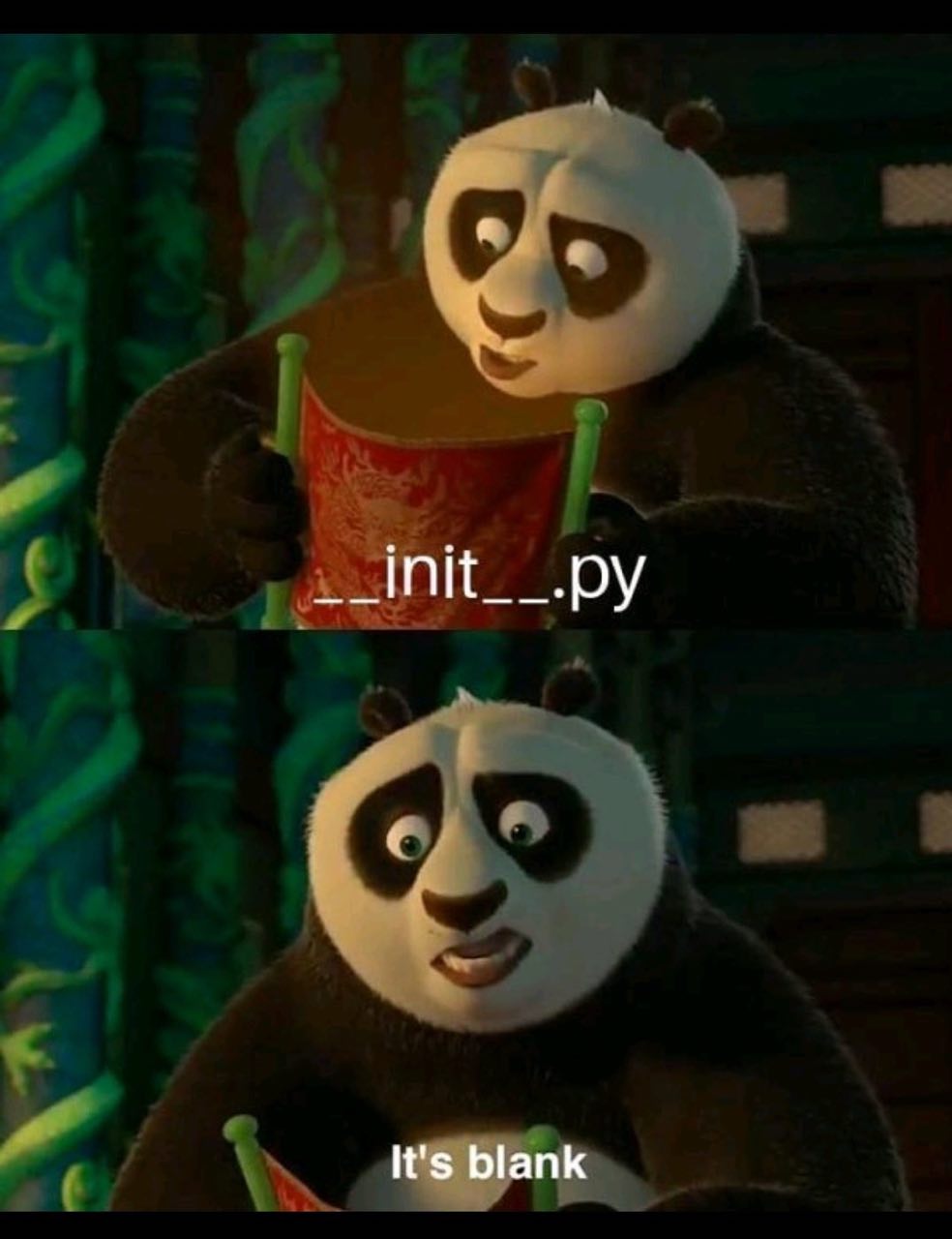 __init__.py it's blank Мем про Кунг-фу Панду, которая открывает __init__.py и обнаруживает, что он пустой