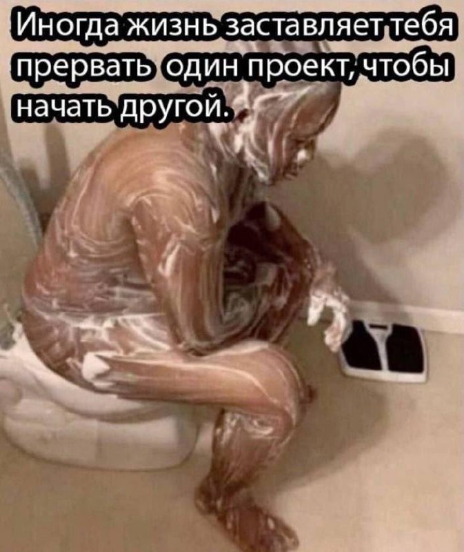 Иногда жизнь заставляет тебя прервать один проект, чтобы начать другой Человек в пене сидит на унитазе с надписью: Иногда жизнь заставляет тебя прервать один проект, чтобы начать другой.
