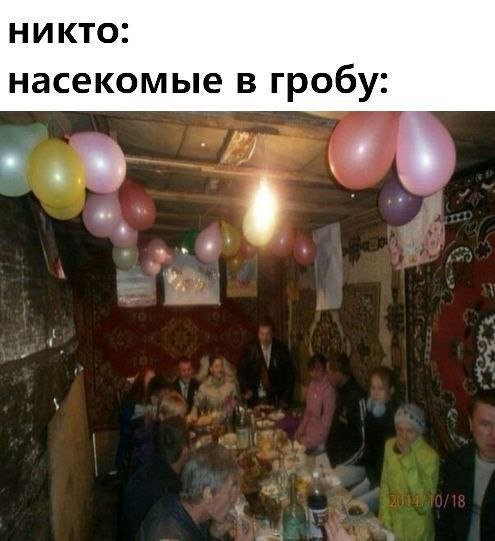 Насекомые в гробу Мем, изображающий вечеринку в гробу с воздушными шариками и едой, подписанный как "Насекомые в гробу".