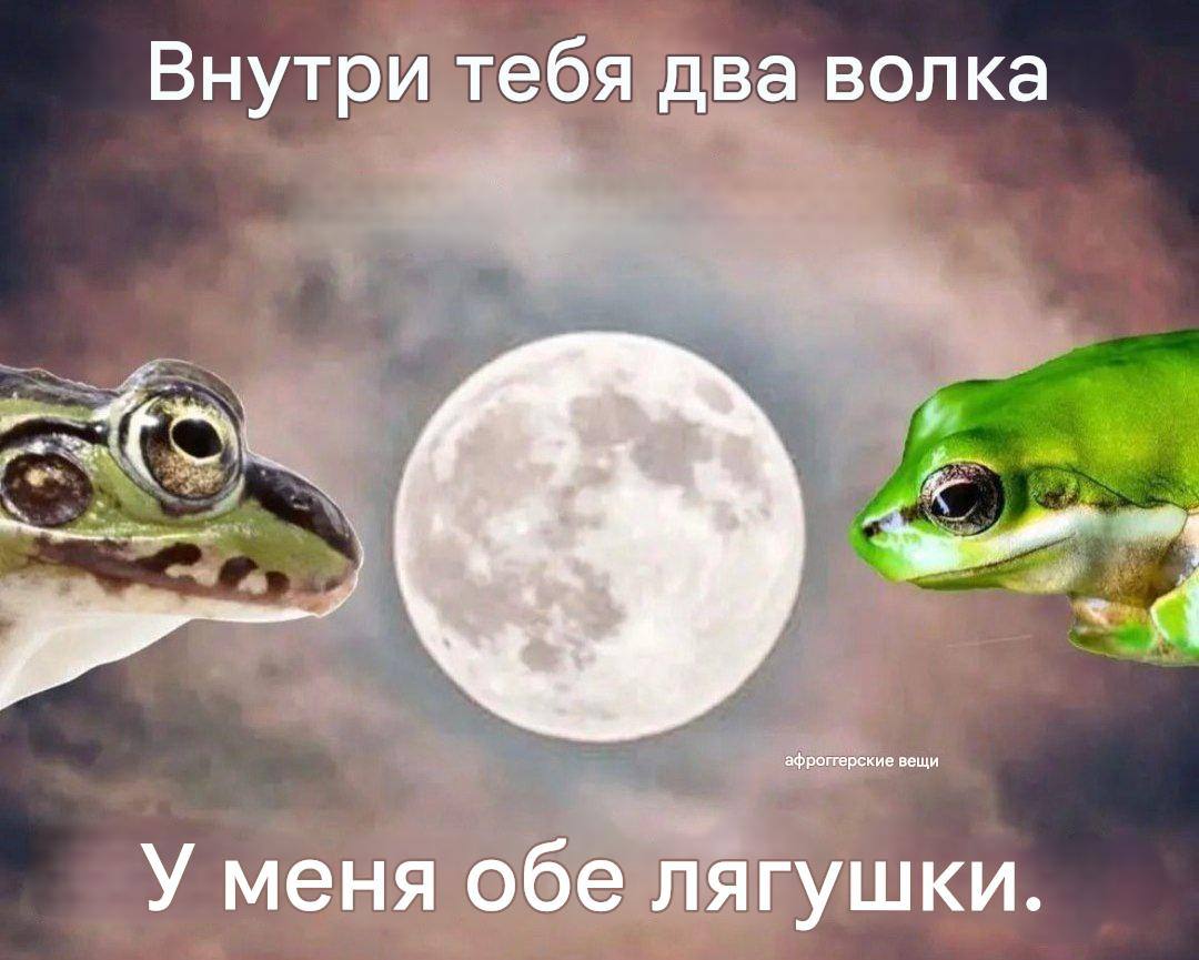 Внутри тебя две лягушки Мем с двумя лягушками, которые сидят по бокам от полной луны, а текст на изображении гласит: «Внутри тебя два волка. У меня обе лягушки»