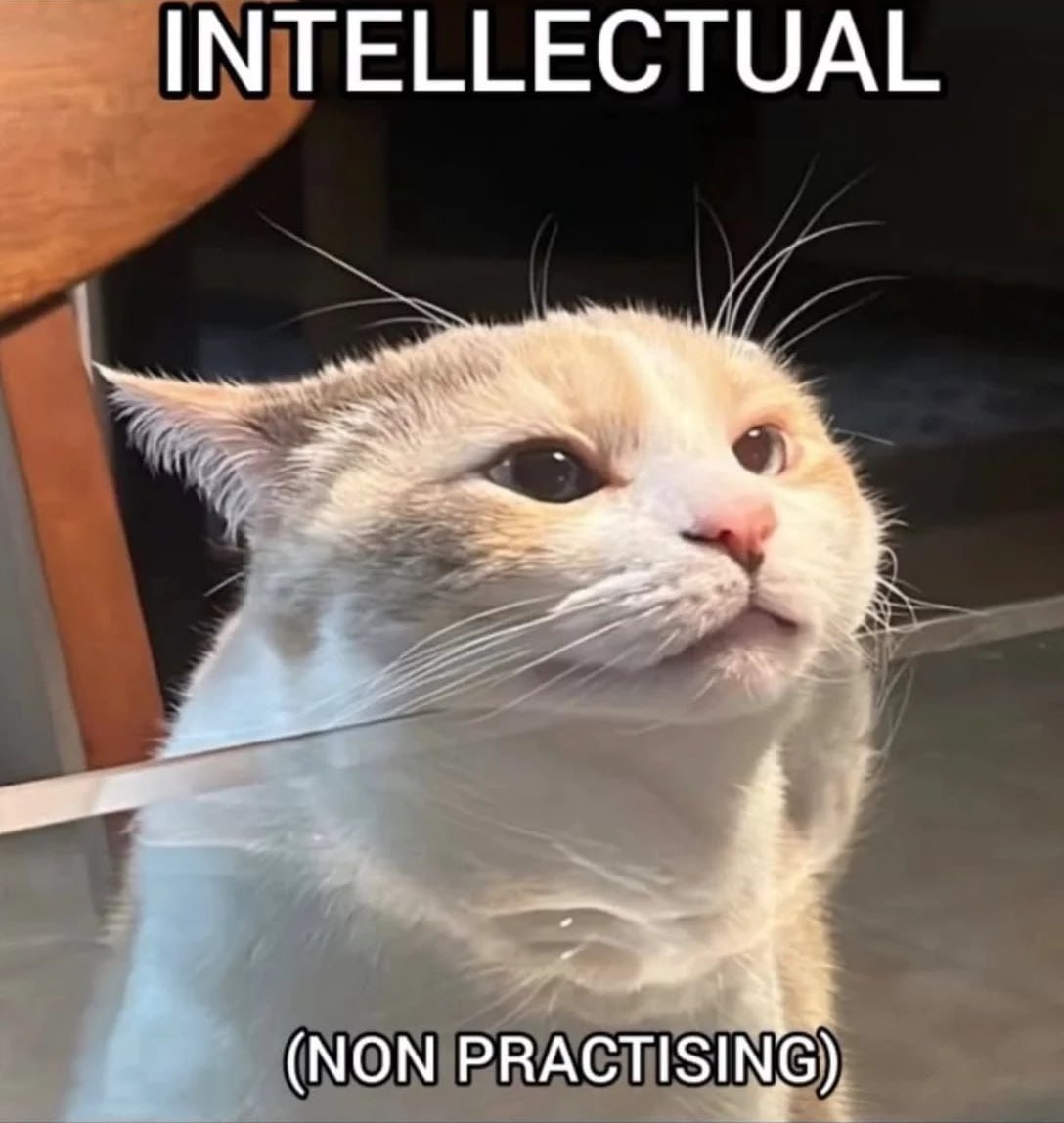 Кот с надписью «INTELLECTUAL (NON PRACTISING)» и очень серьёзным выражением морды.