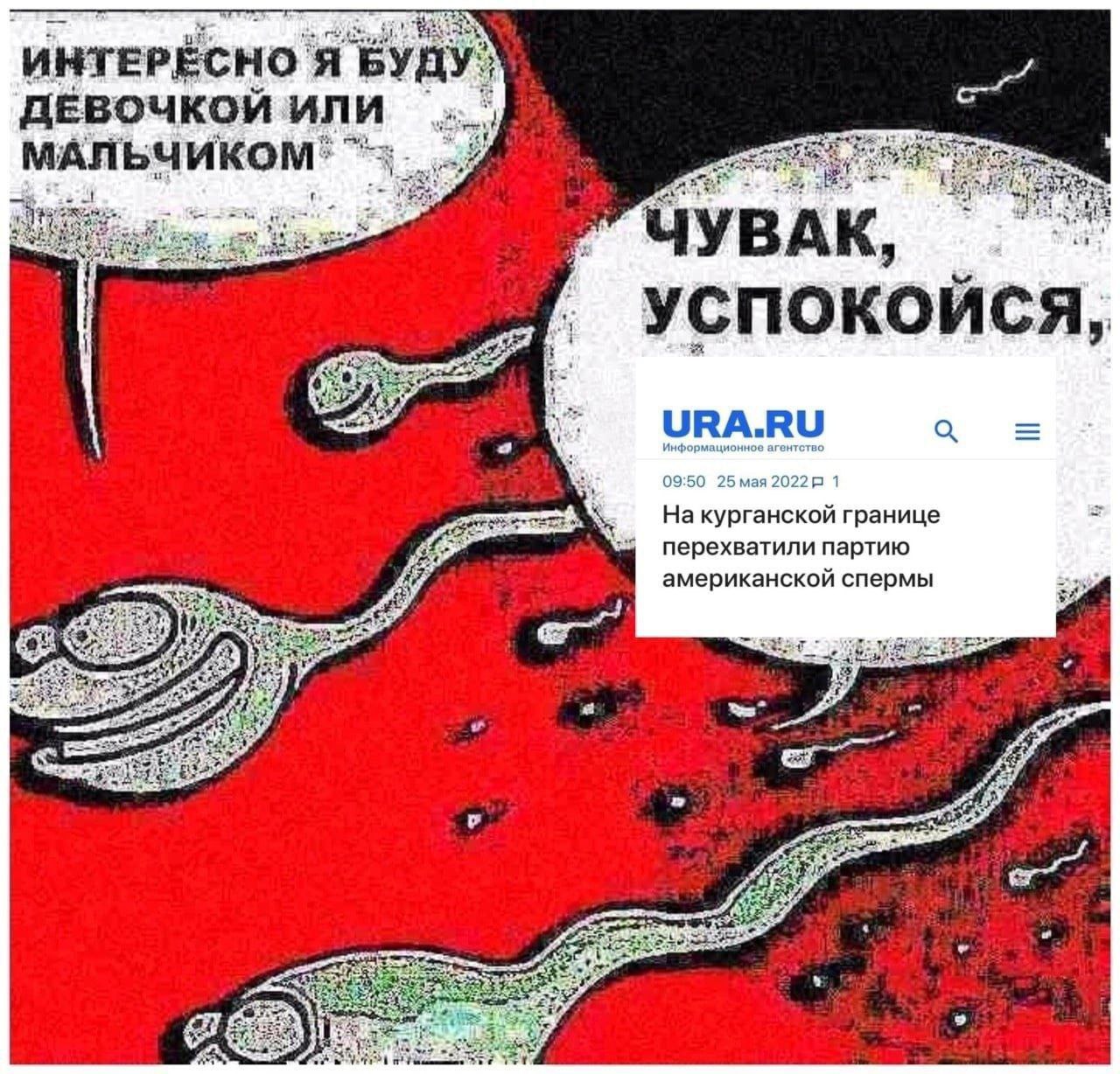 Интересно, я буду девочкой или мальчиком Сперматозоиды обсуждают пол будущего ребенка и новость о перехвате американской спермы на границе