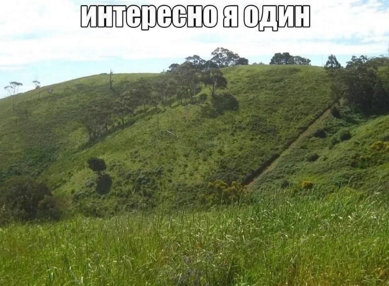 Интересно я один Мем с надписью «Интересно я один» на фоне зеленого холма.