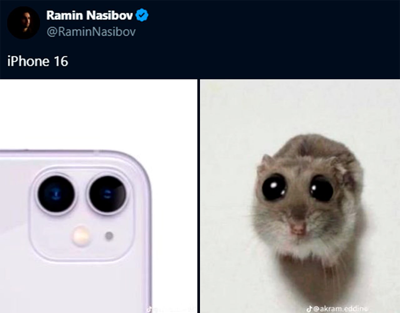 iPhone 16 и хомяк iPhone 16 и хомяк с огромными глазами