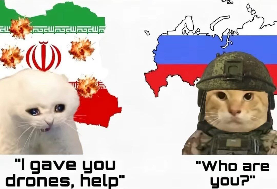 I gave you drones, help Мем про Иран и Россию с котами, где Иран просит помощи, а Россия его не узнает