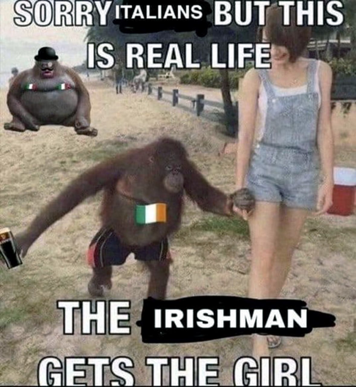 The Irishman gets the girl На изображении орангутанг с флагом Ирландии держит за руку девушку, а сзади сидит другой орангутанг с флагом Италии.