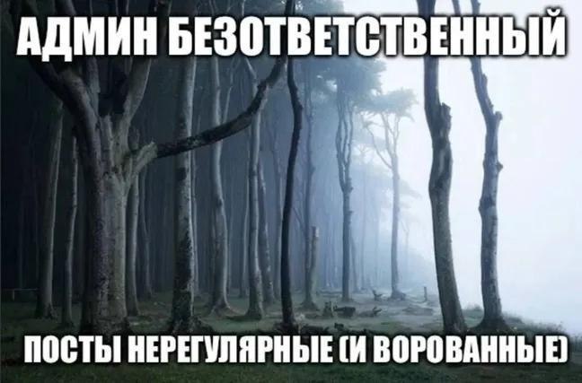 Мрачный лес с надписью «Админ безответственный: посты нерегулярные и ворованные».