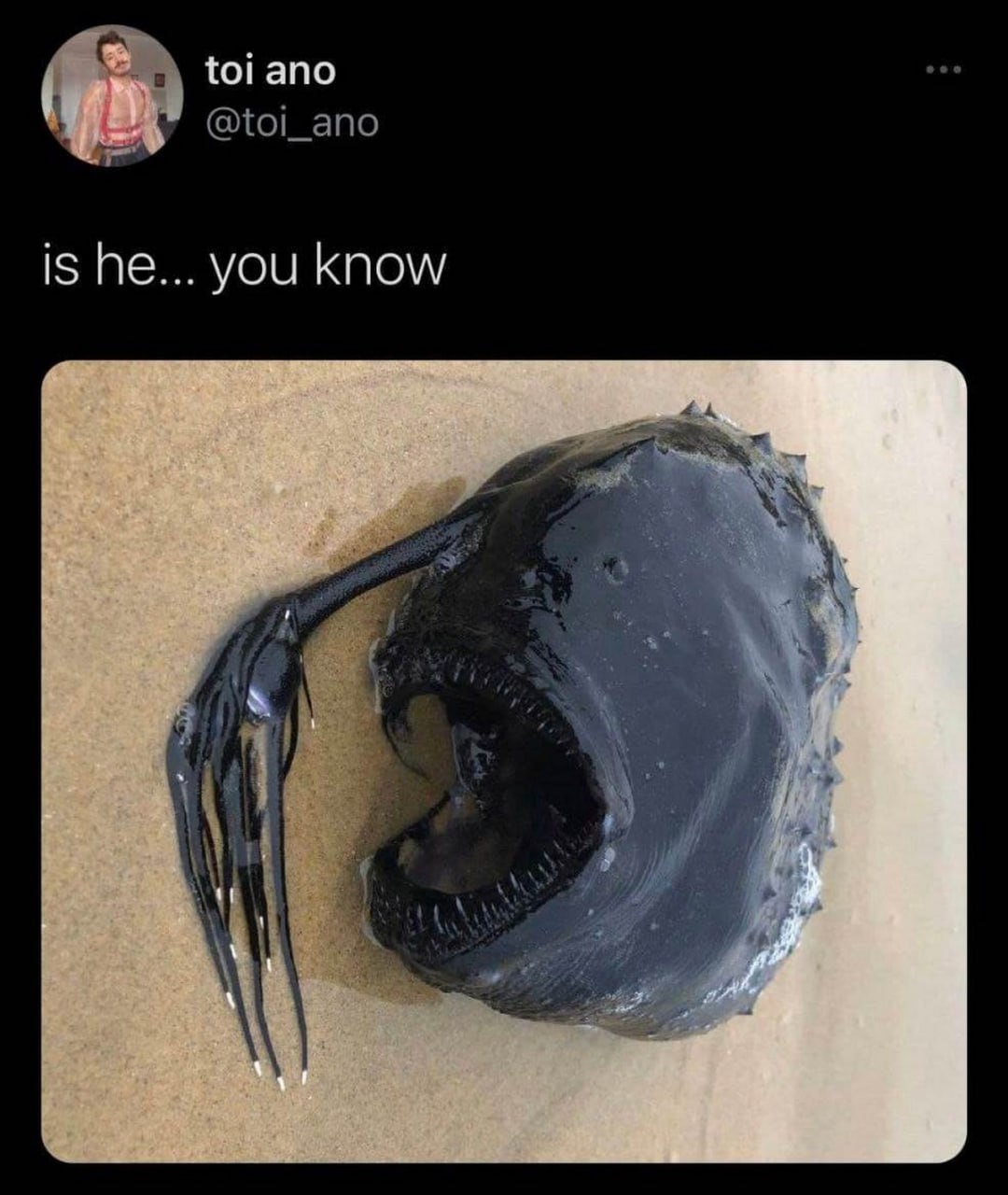 Is he… you know удильщик Мем с глубоководным удильщиком и вопросом «is he… you know»