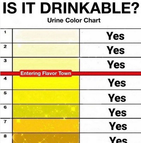 Is it drinkable? Urine color chart Мем с таблицей цвета мочи и надписью «Въезжаем во Вкусоград»