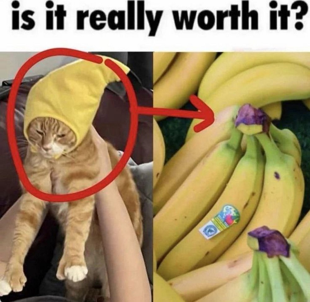 Is it really worth it? Кот в шапке-банане и связка бананов