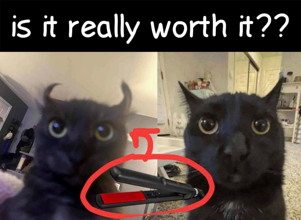 Is it really worth it? Мем с котом, который "спрашивает" стоит ли оно того, глядя на выпрямитель для волос.