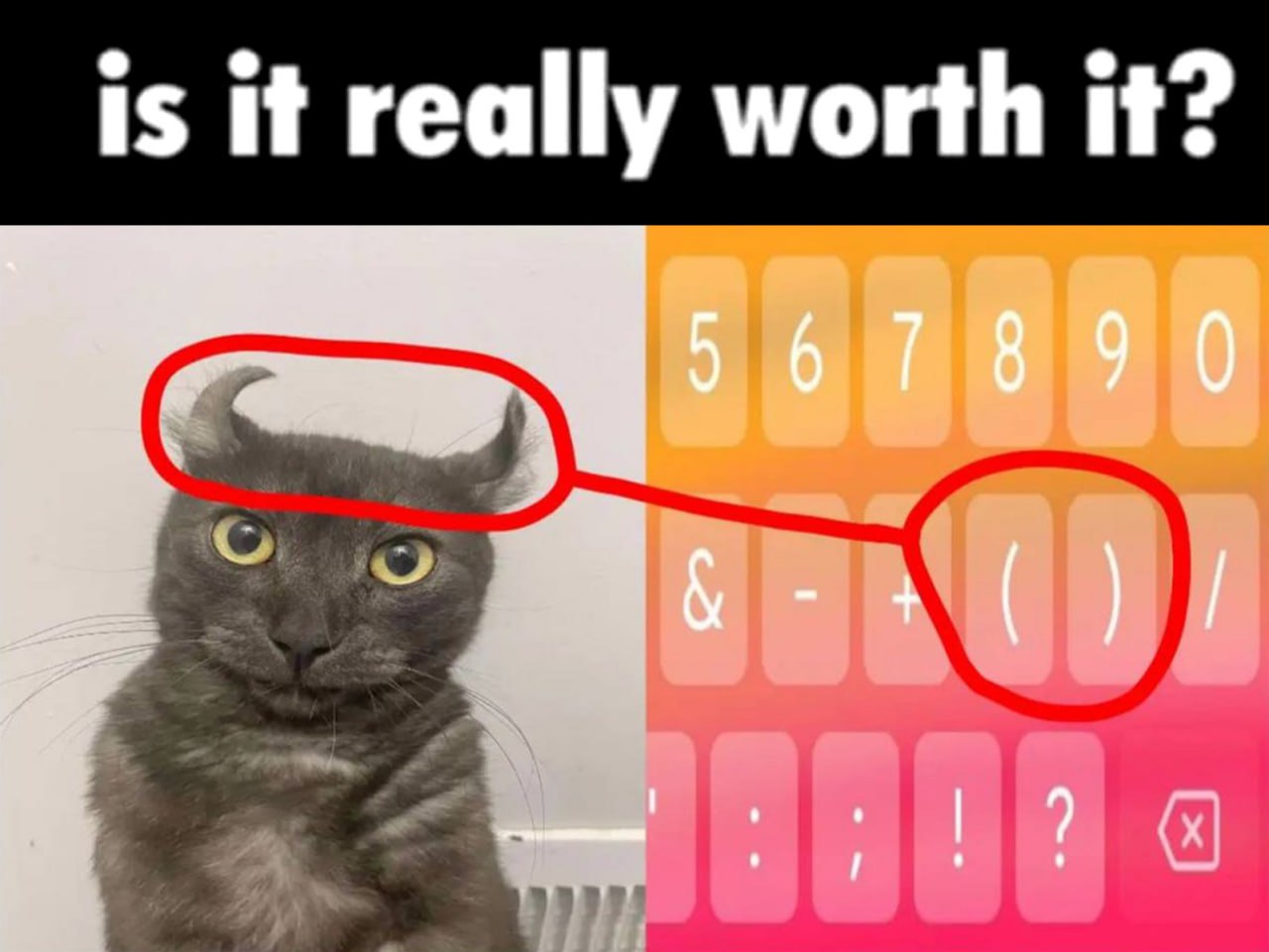 Is it really worth it? Мем с котом, который выглядит как дьявол, и скобками на клавиатуре, которые похожи на рога
