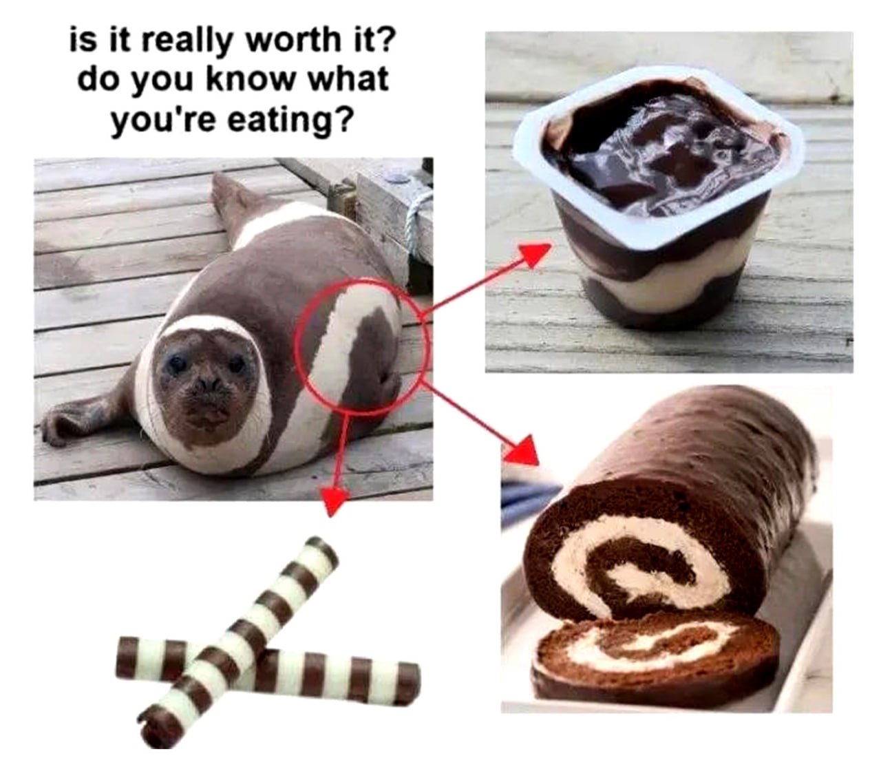 is it really worth it? do you know what you're eating? Мем "is it really worth it? do you know what you're eating?" с тюленем и сладостями
