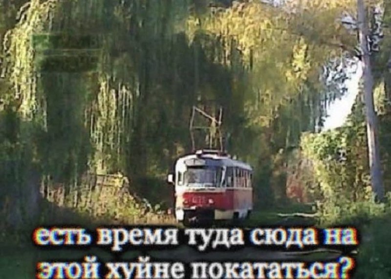 Старый трамвай едет по лесу, а внизу подпись: «Есть время туда сюда на этой хуйне покататься?»