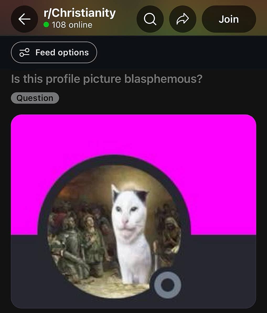 Is this profile picture blasphemous? Кот Smudge the cat в образе Иисуса Христа на аватарке, которую пользователь Reddit спрашивает, является ли она богохульной