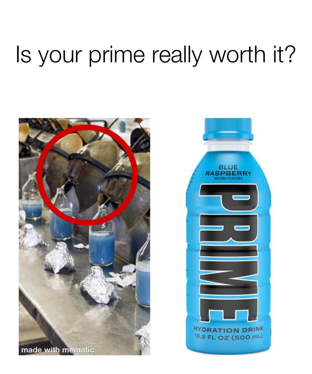 Is your prime really worth it? Мем с вопросом: "Действительно ли ваш прайм того стоит?" и изображением мечехвостов, из которых извлекают голубую кровь, рядом с бутылкой голубого напитка Prime.