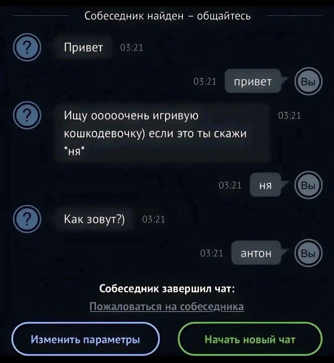 Ищу игривую кошкодевочку если это ты скажи ня Переписка в чат-рулетке, где пользователь ищет «кошкодевочку», а в ответ на просьбу сказать «ня» получает имя «Антон», после чего собеседник завершает чат.