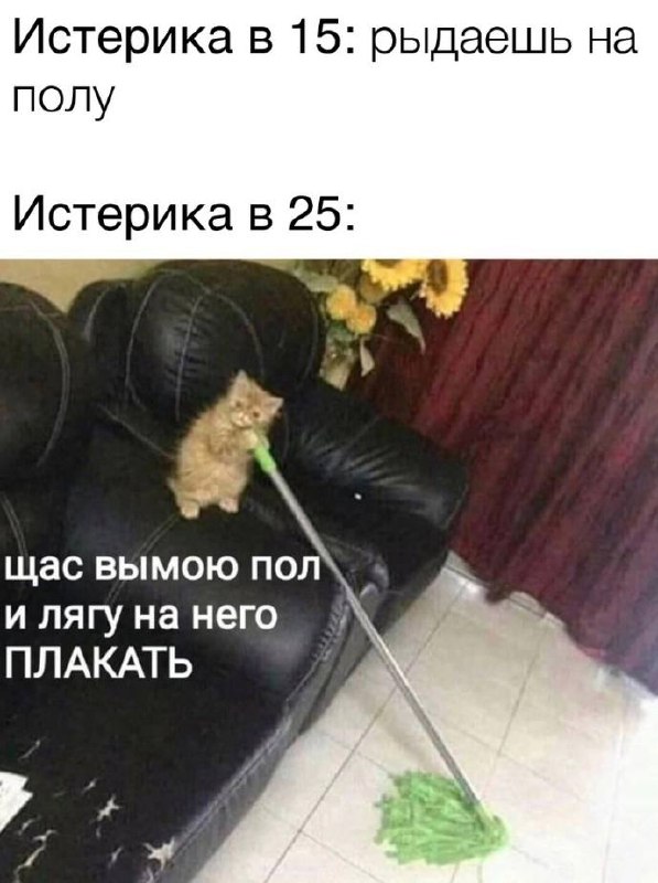 Истерика в 15 и 25 лет Мем с котом, который моет пол шваброй, чтобы на него поплакать