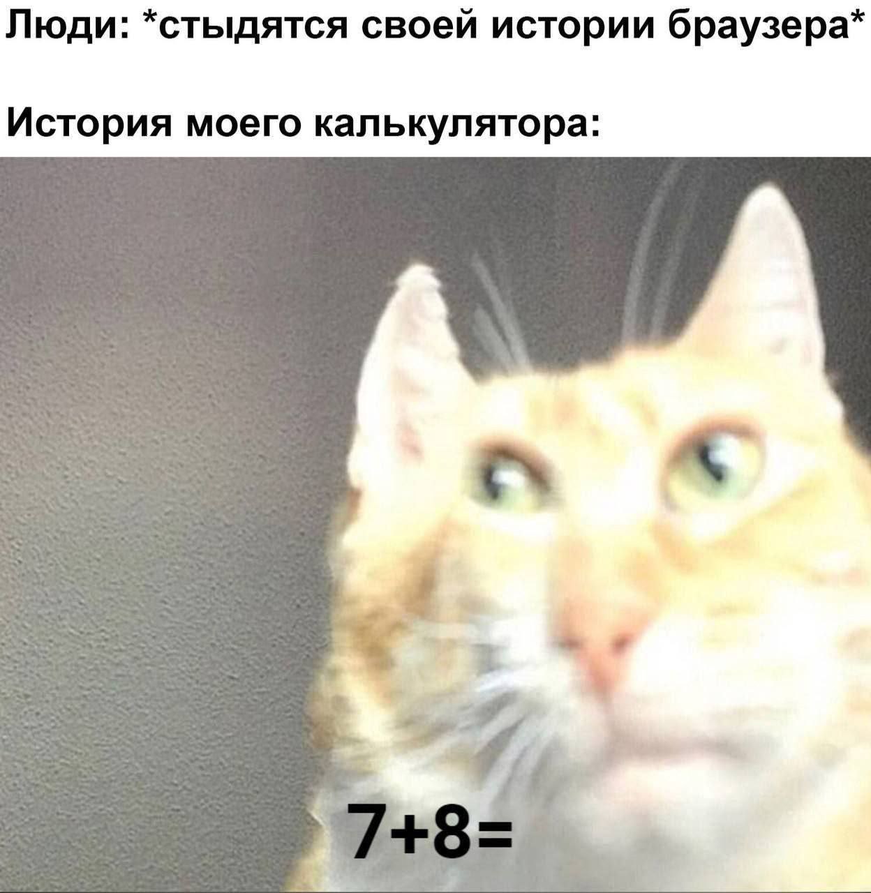 История моего калькулятора: 7+8 Мем с котом и историей калькулятора, где кот смотрит на 7+8