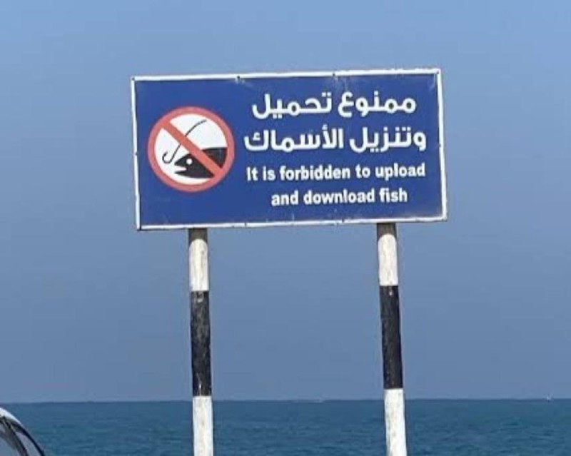 It is forbidden to upload and download fish Знак "Запрещено загружать и скачивать рыбу".