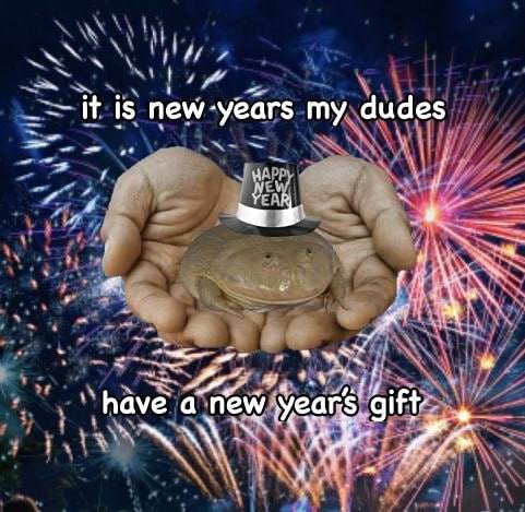 Лягушка в шляпке на ладонях на фоне фейерверков, поздравляющая с Новым годом