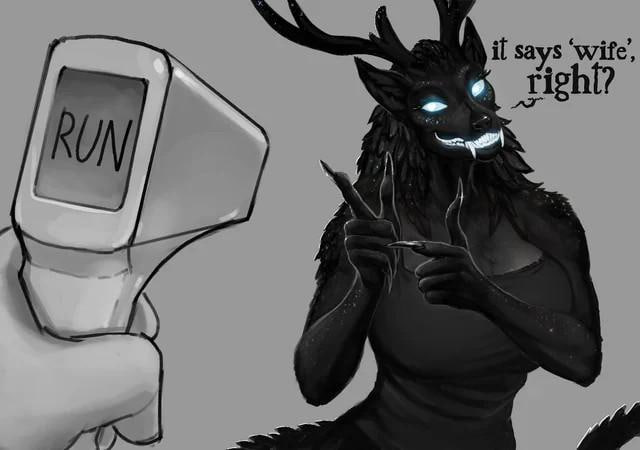 Мем "it says 'wife', right?" и кнопка "RUN"