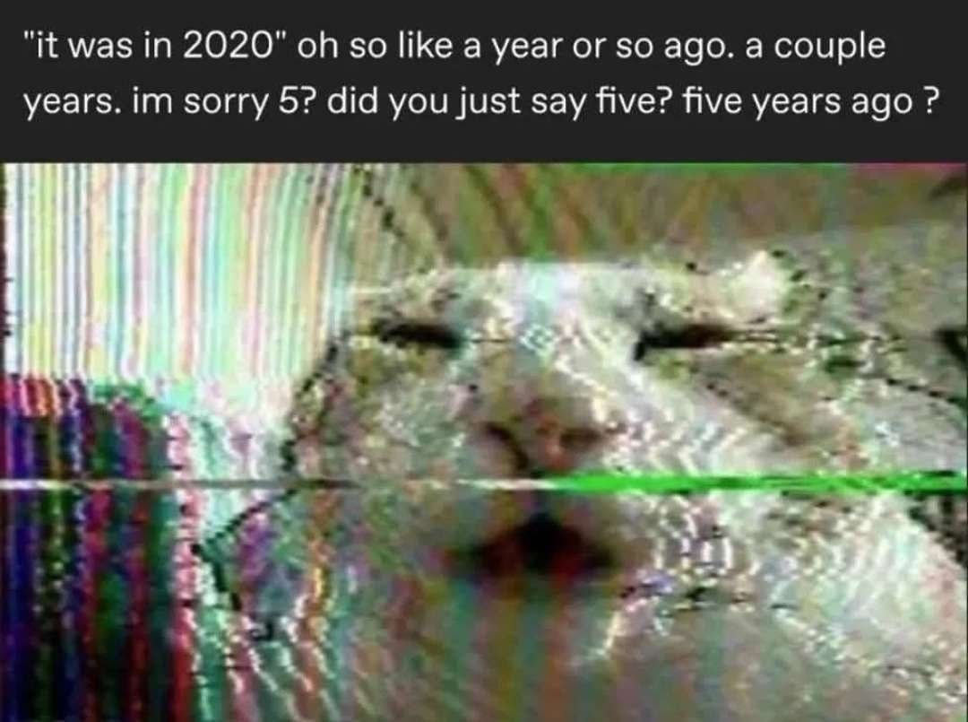 Пять лет с 2020 года Кот удивлен, что прошло уже пять лет с 2020 года