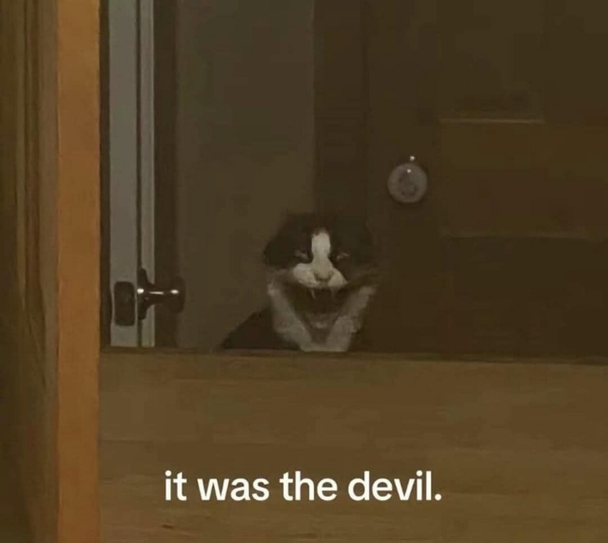 It was the devil кошка Кошка, которая выглядит как дьявол, выглядывающая из-за двери с подписью «it was the devil.»