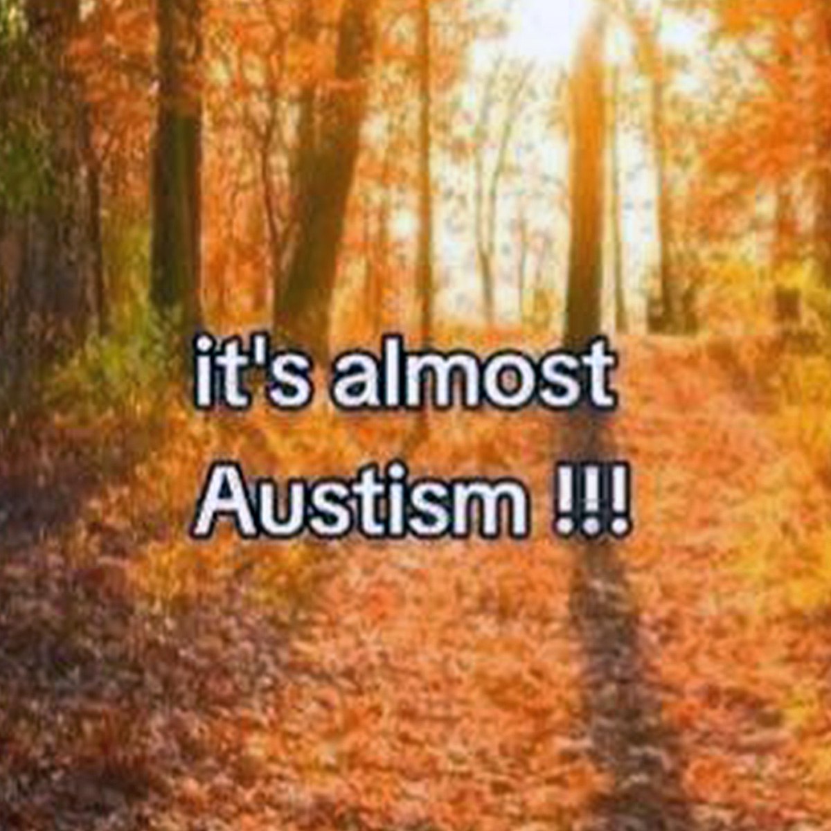 It's almost Austism Осенний лес с надписью "it's almost Austism!!!"