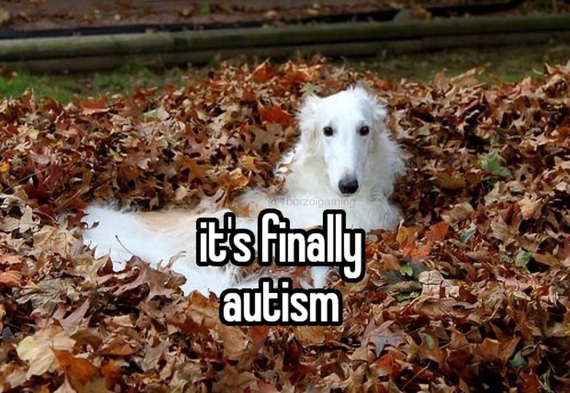 It's finally autism Мем с борзой, лежащей в осенних листьях с надписью «It's finally autism»