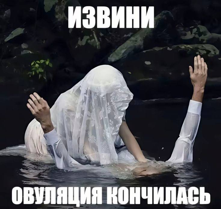 Извини, овуляция кончилась Фото тонущей женщины с надписью: извини, овуляция кончилась