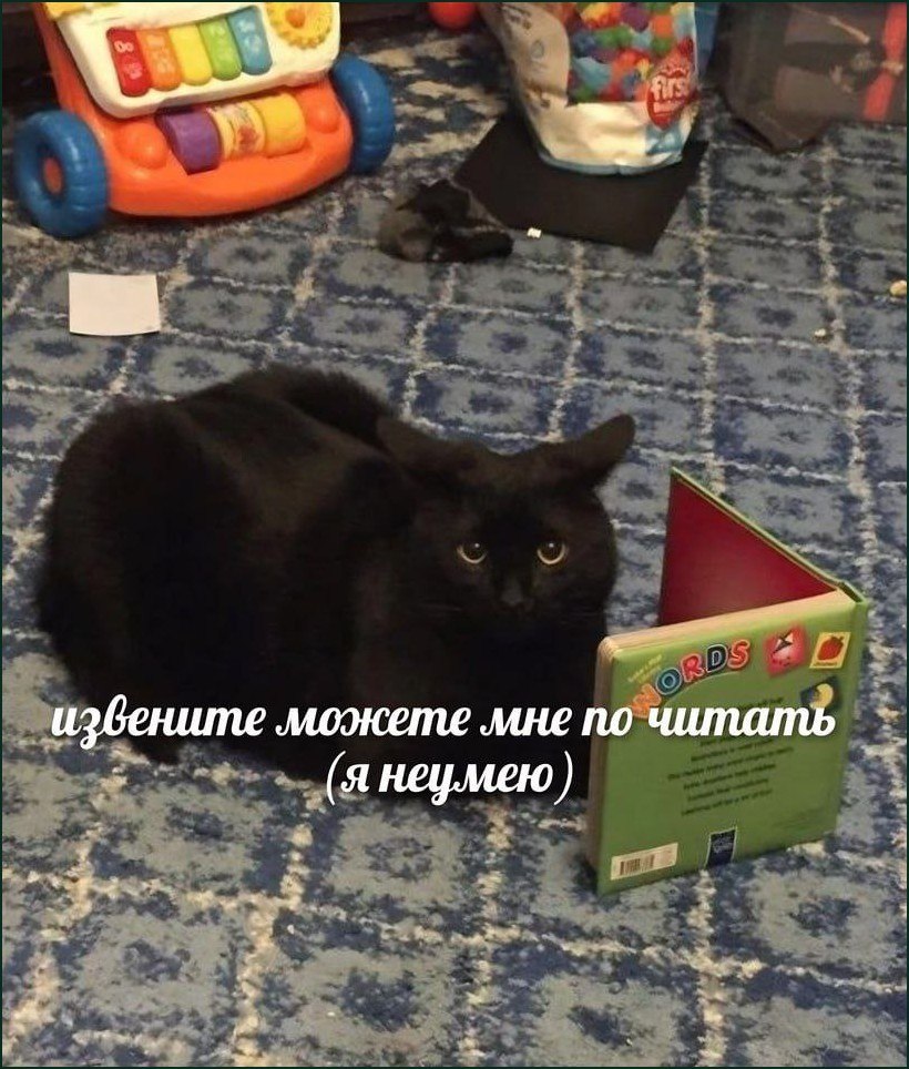 Чёрный кот смотрит на раскрытую детскую книгу и просит: «Извините, можете мне почитать (я не умею)».