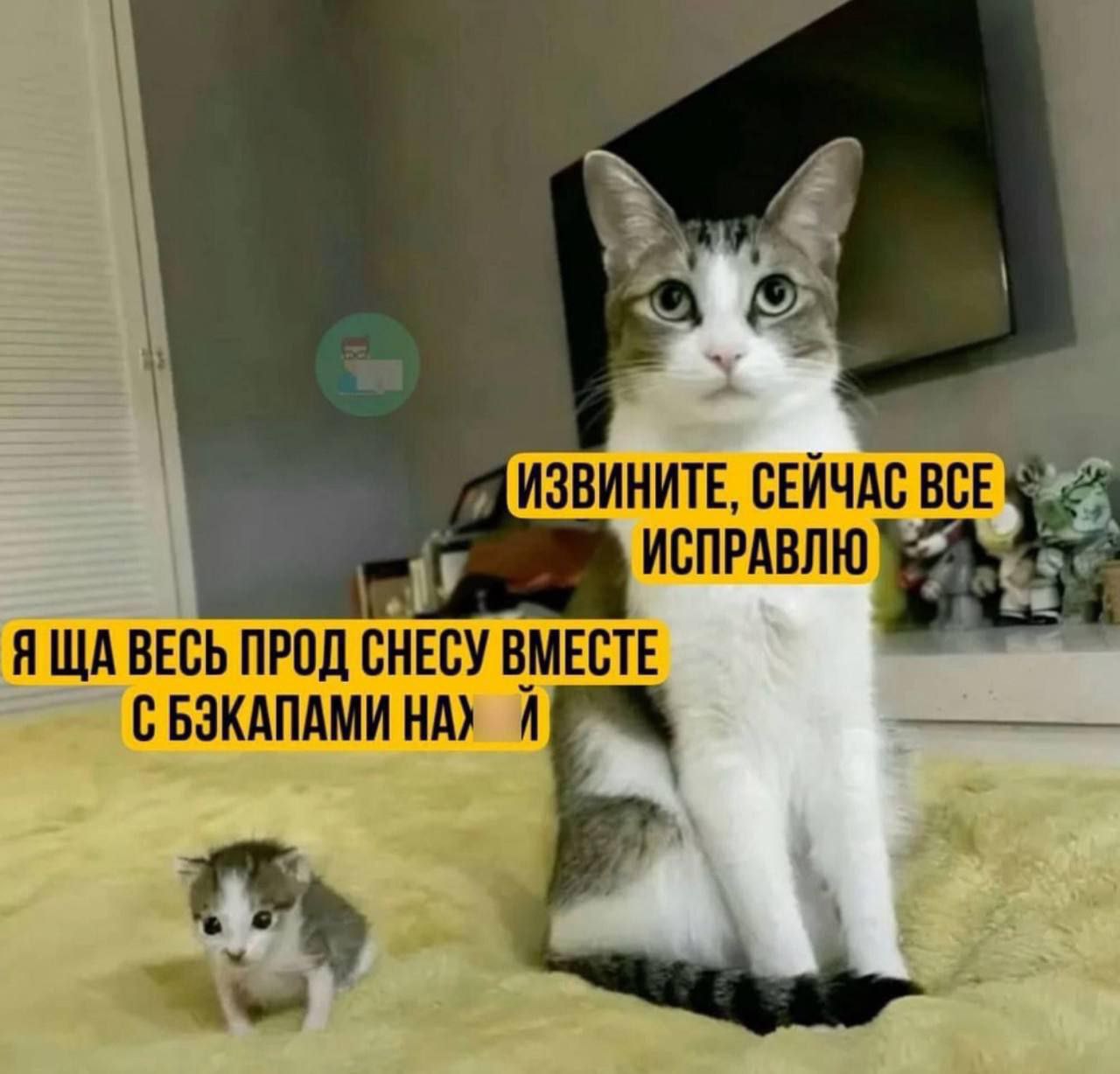 Мем с котом, который извиняется и обещает все исправить, пока маленький котенок грозится удалить прод с бэкапами.